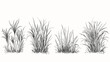 © The Illustraitor - Set of vector grass illustrations on a white background. Architectural Drawings, Minimal style cad turf drawing, Side view, set of graphics meadows elements outline symbol for lawn landscape design