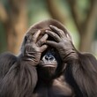 © Rawpixel.com - Gorilla wildlife monkey animal.