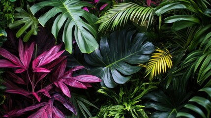  Vibrant Tropical Leaves Arrangement in Nature
