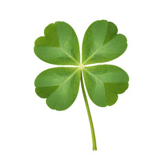 A detailed close-up of a vibrant four-leaf clover isolated on a white background, captured in high resolution with sharp edges for a clean, crisp cutout in PNG format