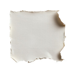 Wall Mural - torn white paper on a plain background