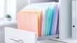 © Anna - Organized office workspace with colorful file folders in modern cabinet.