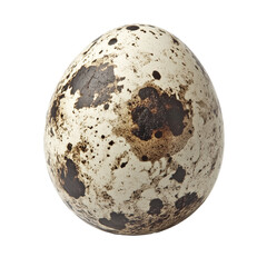 Unique speckled egg resting on a plain surface