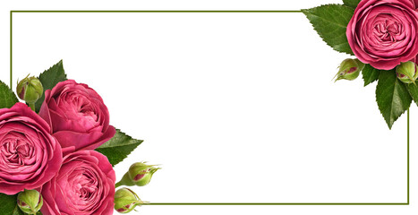 Wall Mural - red rose flowers, green leaves and buds in a corner floral arrangements with frame isolated on white