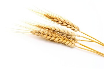 Wall Mural - Wheat grain food white background.