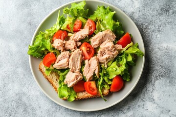 Sticker - Canned tuna fillet and salad on toast Gray backdrop Overhead view