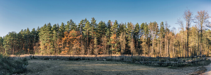 panoramic view of calm forest lake in autumn