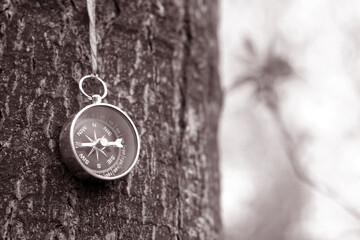 Wall Mural - classic navigation compass on natural background