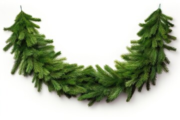 Wall Mural - christmas tree pine garland plant fir white background.