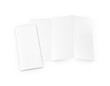 © Bruno - An image of a Trifold Brochure open and closed isolated on a white background