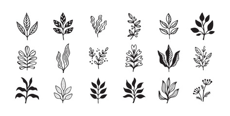 Wall Mural - Hand drawn outline doodle floral elements leaf set. Plant leaves vector design