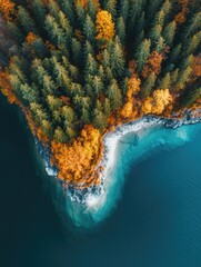 Wall Mural - lakeside forest
