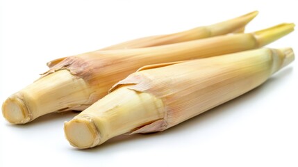 Wall Mural - These bamboo shoots are freshly harvested and displayed against a white background, showcasing their elongated shape and smooth surface, perfect for culinary use