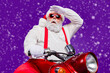 © deagreez - Photo of santa claus man riding newyear party by bike looking far away on distance not believe road so long wear sun specs trousers hat suspenders isolated purple background
