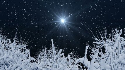 Wall Mural - trees covered in snow and christmas star in the starry sky mark the nativity of jesus christ.