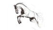 © Galaxyd - A dynamic sketch of a horse in mid-leap, showcasing movement.
