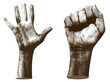 © visuals6x - Open and Closed hand color halftone in old style on transparent backdrop. Two fist gesture concept design