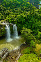 Wall Mural - Twin waterfall in the forest