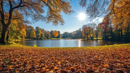 Wall Mural - Picturesque autumn park landscape with colorful foliage showcasing fall season. Autumn park with colorful foliage. Nature