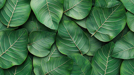 Poster - Lush green leaves overlapping, creating vibrant natural texture