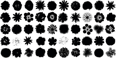 Wall Mural - tree top view vector silhouette collection in various styles. perfect tree top for architectural pla