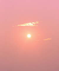 Wall Mural - sunbeam through the haze on pink sky, vertical
