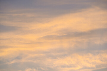 Wall Mural - nature and landscape concept with twilight and cloudy sky background on the morning with large tree