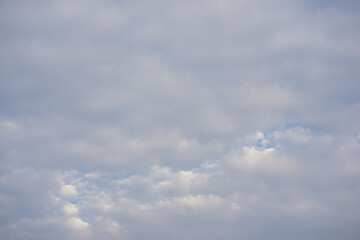 Wall Mural - nature and landscape concept with twilight and cloudy sky background on the morning