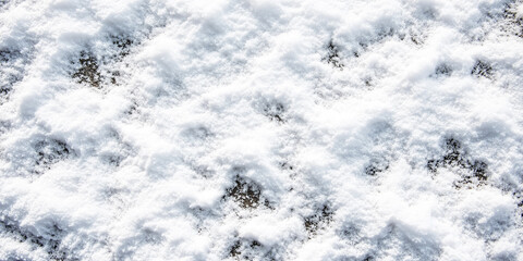 Poster - close up view of snow texture background, showcasing soft, white snow covering dark surface, creating serene winter atmosphere