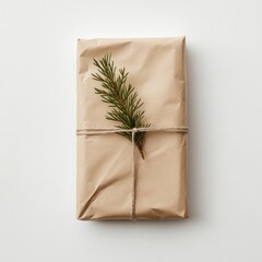 Wall Mural - Eco-friendly Christmas gift wrapped in kraft paper, tied with twine, and decorated with a small pine sprig, minimalist and natural holiday packaging, Scandinavian style, selective focus, copy space