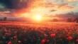 © harryaishi - Golden Sunset Over a Field of Poppies
