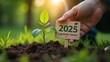 © 18042011 - A hand plants a small tree seedling in soil, with a sign reading '2025: A Greener Future.' The image signifies commitment to environmental goals for the coming year