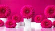 © Vingar - Pink gerbera daisies in white vases on a pink background.