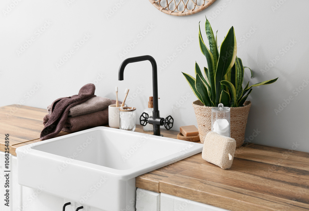 Bath accessories and houseplant near sink in bathroom