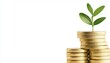 © JP STUDIO LAB - a gold coin stack with small sprouting plant, symbolizing financial growth and investment, isolated on white background