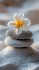 Canvas Print - Delicate white flower placed on stacked pebbles resting on soft sand during a tranquil day