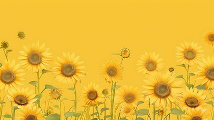 Wall Mural - field of sunflowers