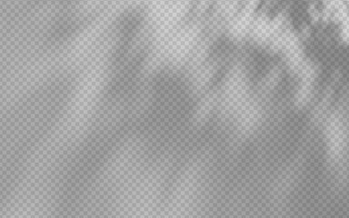 Wall Mural - abstract shadow overlay from foliage on a transparent background.