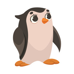 Wall Mural - penguin polar animal and cold arctic fauna vector illustration
