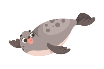 Wall Mural - seal polar animal and cold arctic fauna vector illustration