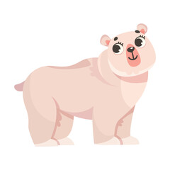 Wall Mural - bear polar animal and cold arctic fauna vector illustration