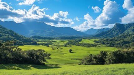 Wall Mural - breathtaking mountain valley landscape