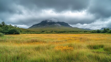 Wall Mural - Majestic Mountain Landscape