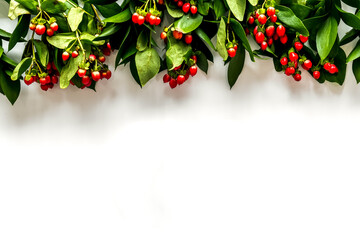 Wall Mural - herbs and red berry for homemade cosmetic with plant extract on white background top view mock-up