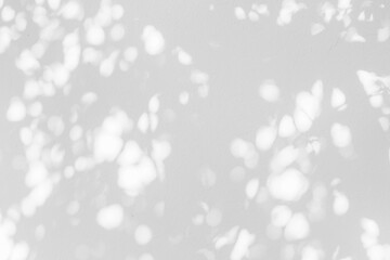 Gray shadow of wild vegetation leaves on white texture wall. Abstract neutral nature concept, blurred background.