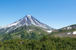 © Evgeniya Primavera - natural landscape in summer daytime view of high volcano Klyuchevskoy in Kamchatka