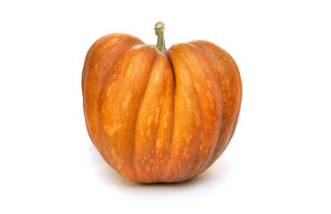 Wall Mural - nutmeg big pumpkin on a white background with space for text