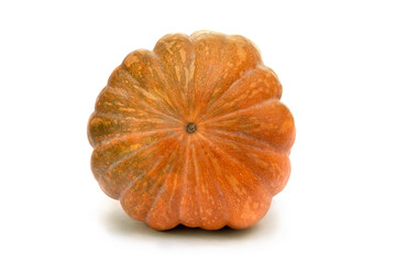 Wall Mural - nutmeg big pumpkin on a white background with space for text