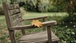 © lastfurianec - A fallen leaf on an old chair outside. The sheet is lying on the armrest of the chair. The background depicts a serene outdoor setting with lush greenery.