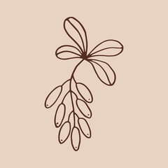 Wall Mural - Branch with leaves and barberry. Botanical element. Hand drawn vector illustration in outline style.